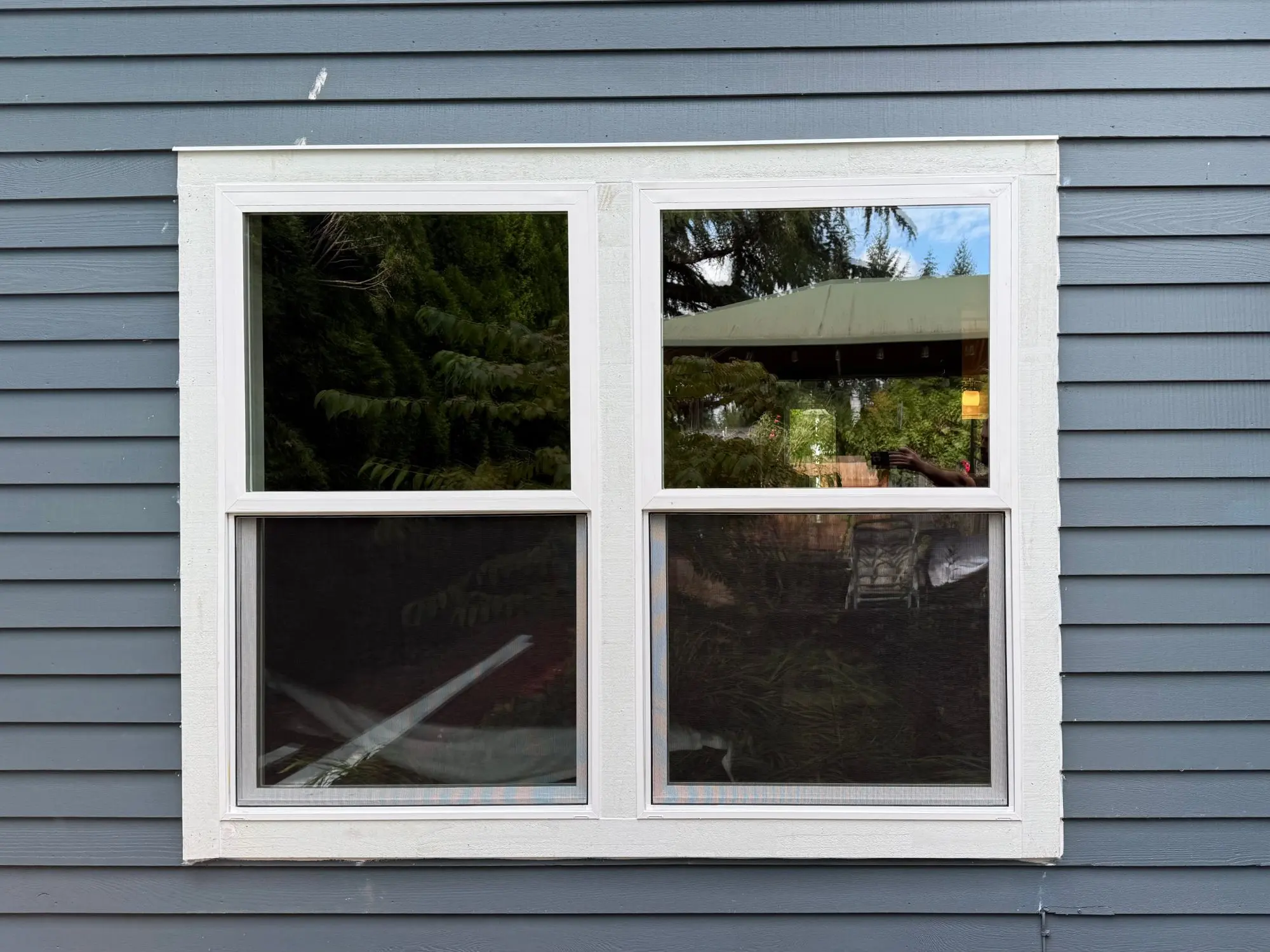 Two new white windows with fresh exterior trim on blue lap siding